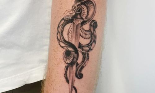 Fine Line Snake and Dagger