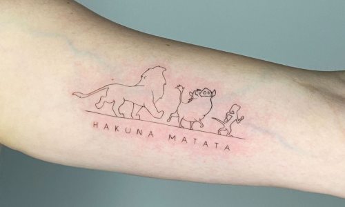 Hakunamatata